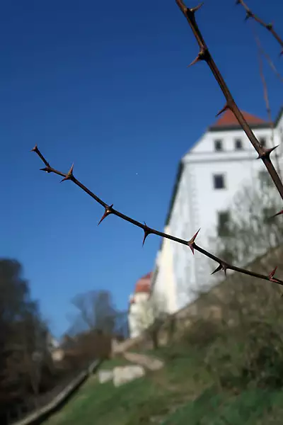 Frühling im Schloss Siebeneichen
