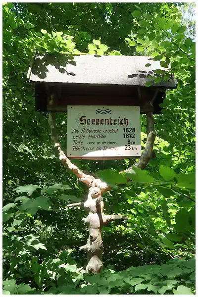 Tharandter Wald, Seerenteich, 2022