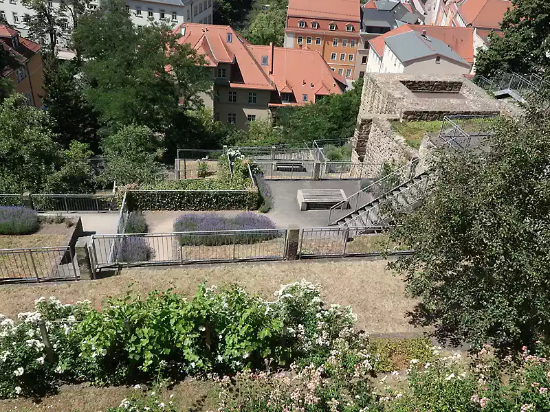 Pirna, Terrassengärten am Schlosshang