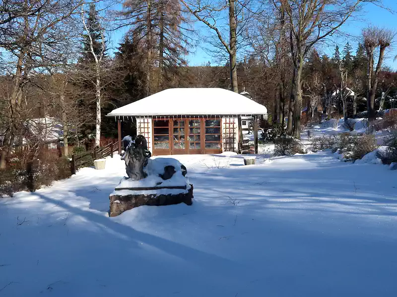 Bärenfels - Kurpark im Winter