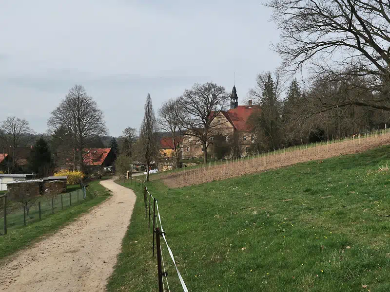 Weg zum Schloss Thürmsdorf