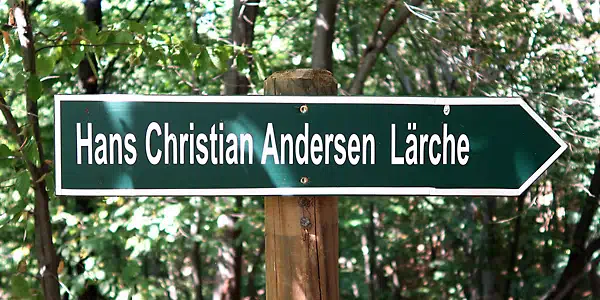 Maxen - Weg zur Hans Christian Andersen Lärche