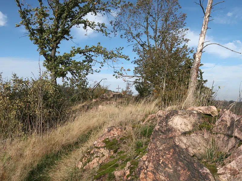 Tannenbusch Kammweg, Rückblick zum Aussichtspunkt