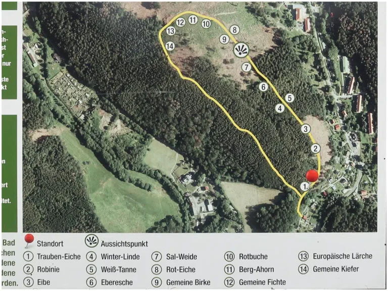 Tannenbusch Bad-Gottleuba, Waldlehrpfad