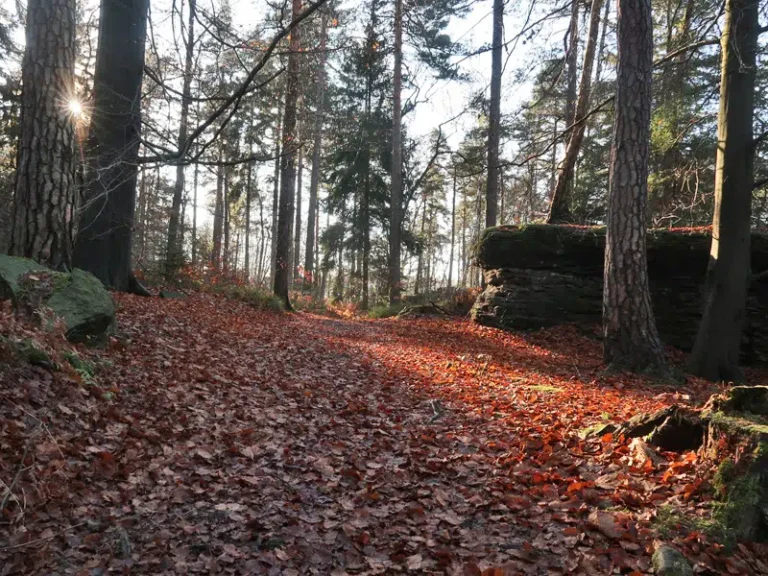 Bielatal, sächsische Schweiz