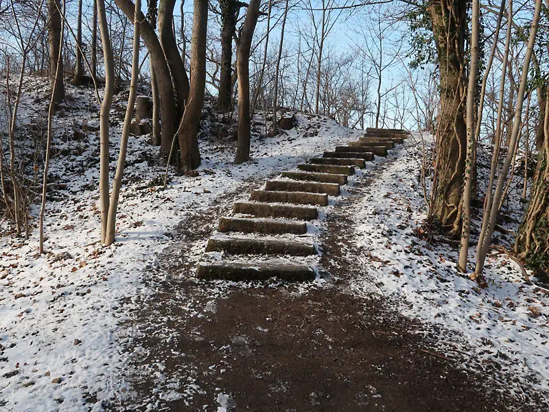 Hoher Stein Dresden, Parkweg im Winter