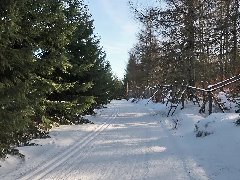 Osterzgebirge, Neurehefeld Moldava Winter 2025