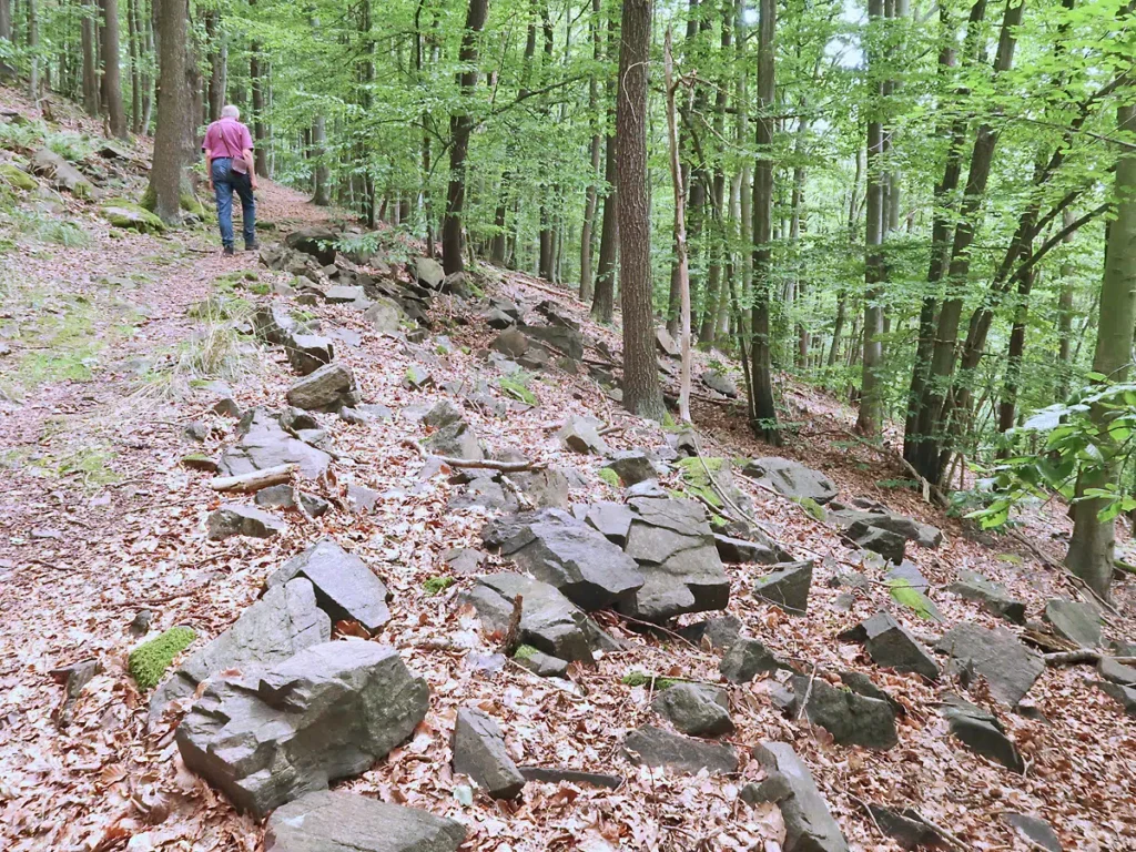 Berggießhübel, Weg zur Panoramahöhe