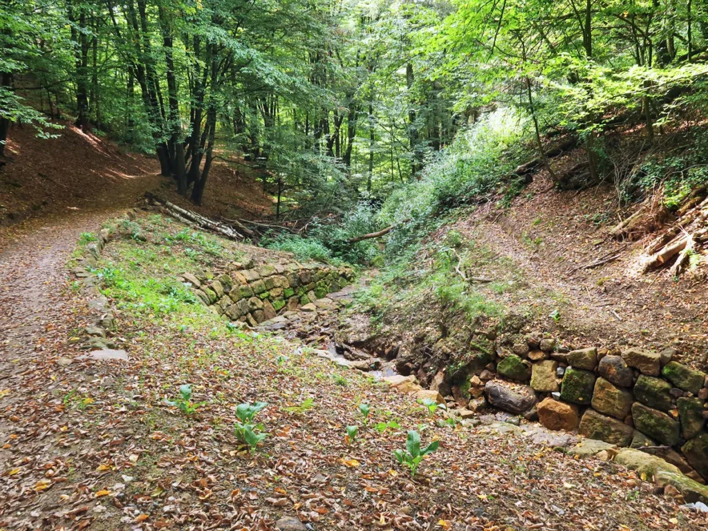 Altendorf, Dorfbachklamm