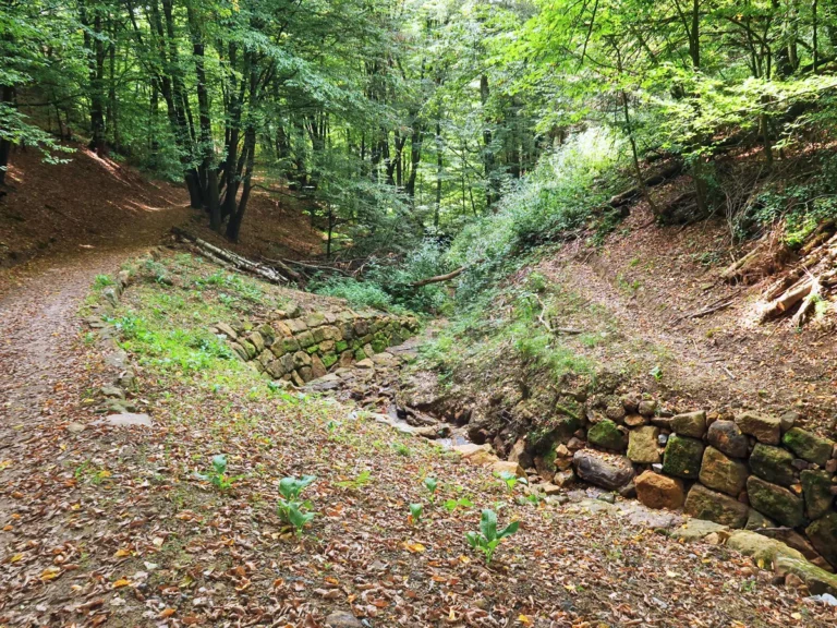 Dorfbachklamm Altendorf, oberer Zugang